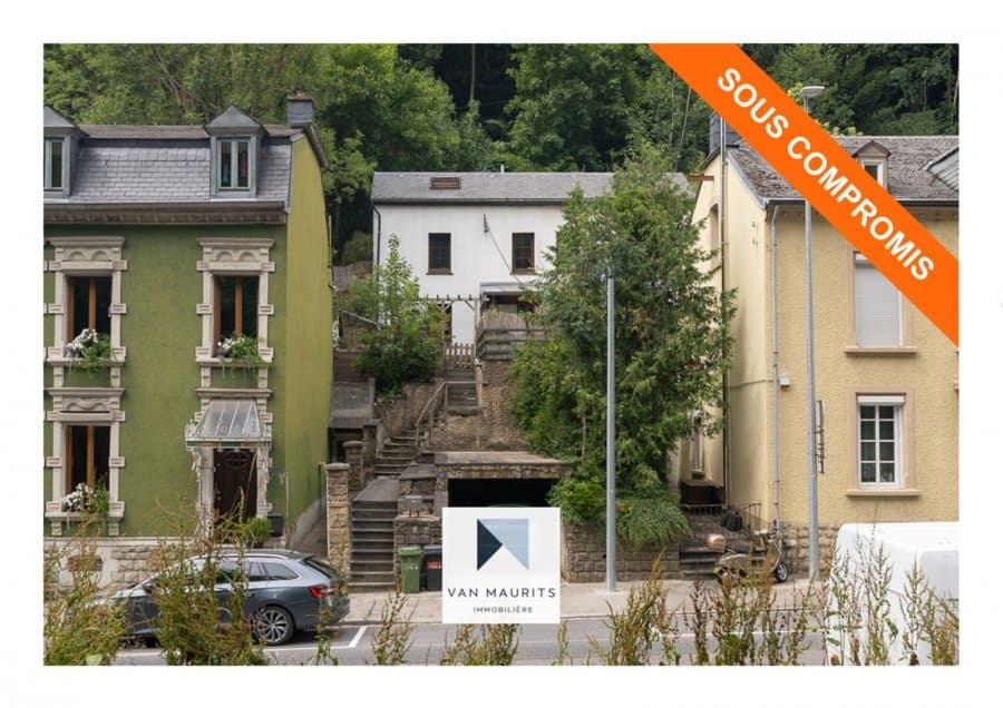 Haus