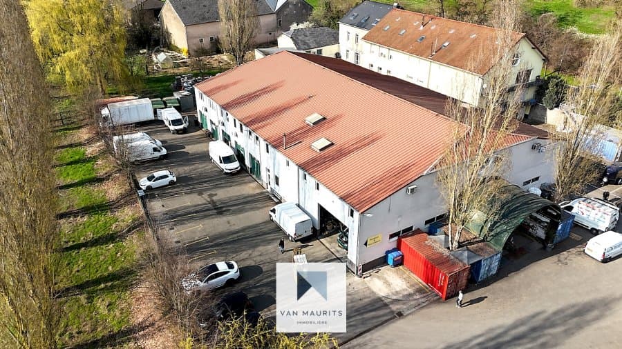 Photo 2 de l'annonce