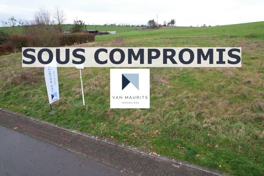Photo principale de l'annonce
