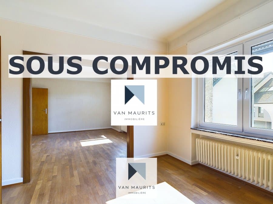 Photo principale de l'annonce